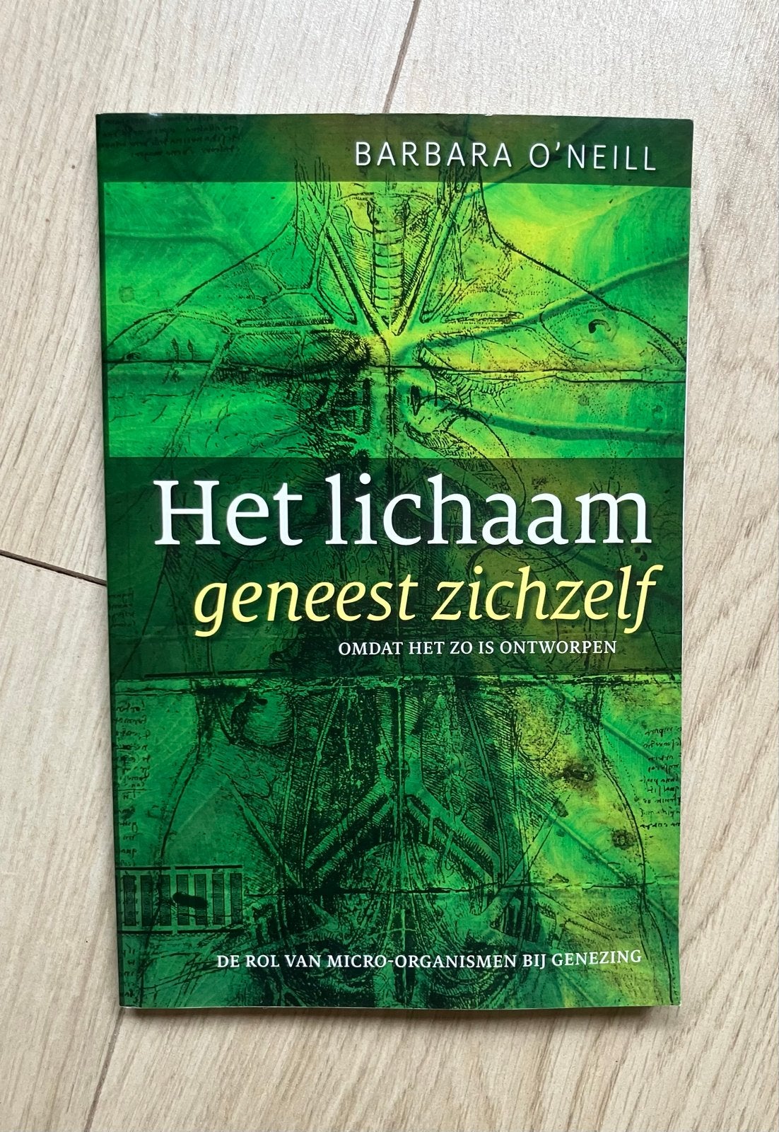 Het lichaam geneest zichzelf - Barbara O'Neill, Ophalen of Verzenden, Zo goed als nieuw, Gezondheid en Conditie