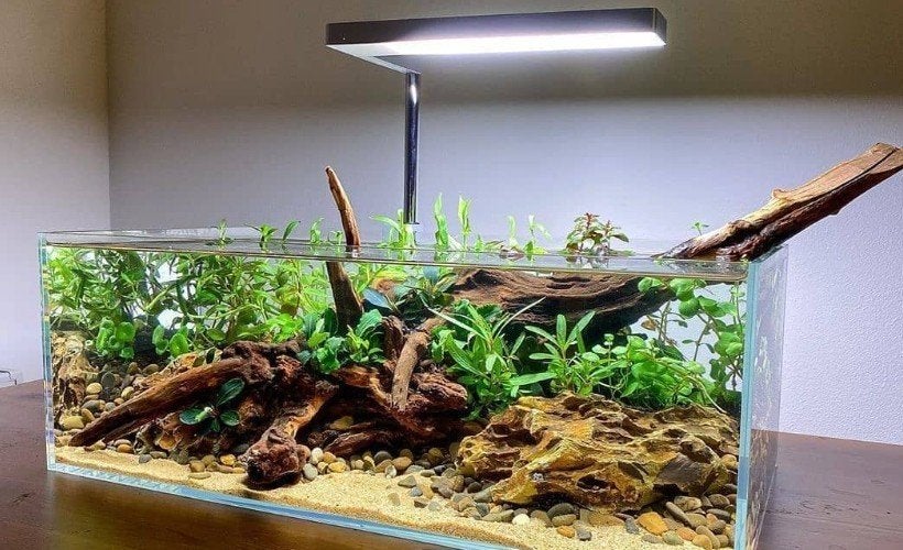 Lowscape / Nano Aquarium + toebehoren, Dieren en Toebehoren, Vissen | Aquaria en Toebehoren, Ophalen of Verzenden, Inclusief toebehoren