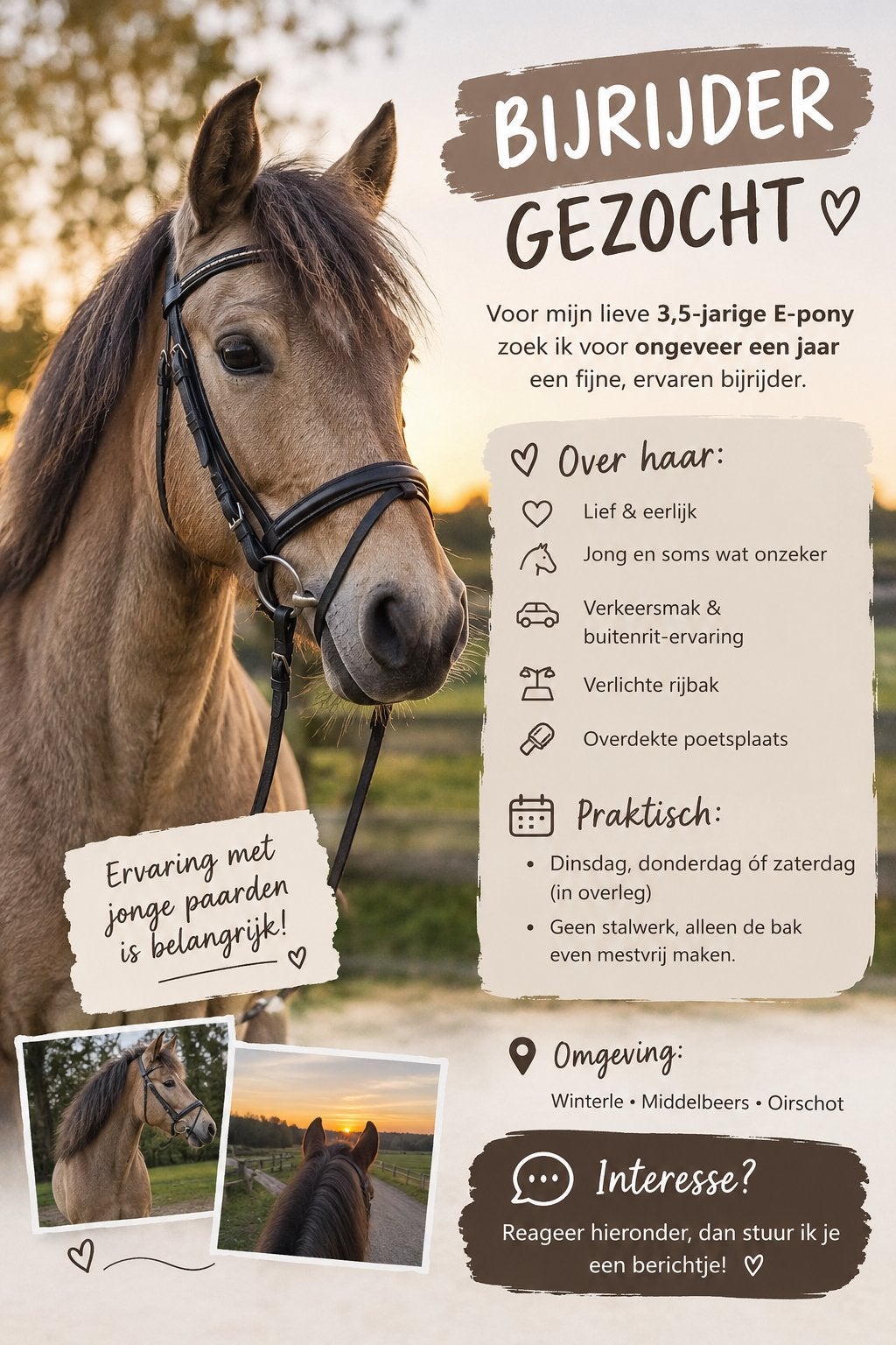 Bijrijder gezocht! (Met ervaring), Ophalen, Zo goed als nieuw