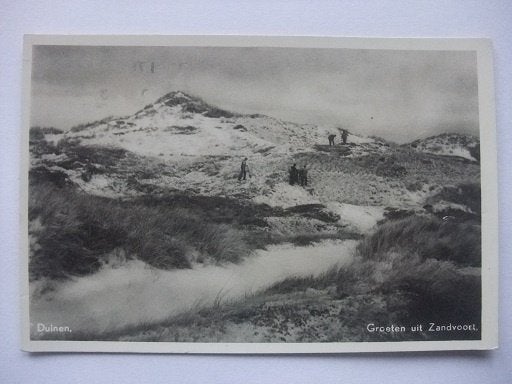 P337 Zandvoort - Duinen - 1950, Verzenden, 1940 tot 1960, Gelopen, Noord-Holland