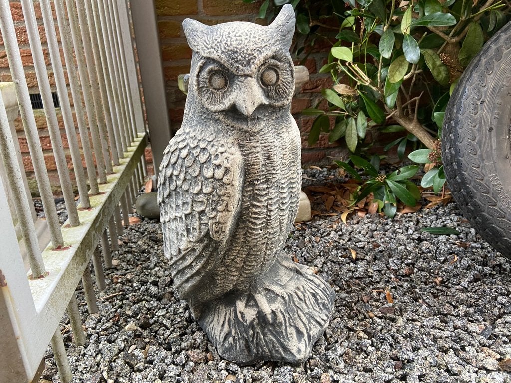 Uil ,  hoogte 49cm, Tuin en Terras, Tuinbeelden, Ophalen, Nieuw, Beton, Dierenbeeld
