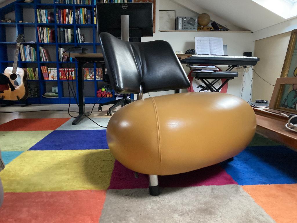 Leolux Pallone, Ophalen, Zo goed als nieuw, 75 tot 100 cm