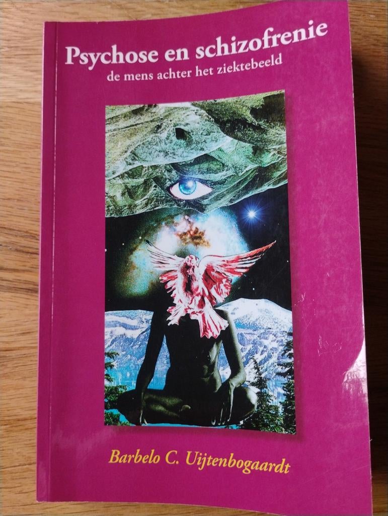 Psychose en schizofrenie: De mens achter het ziektebeeld, Gelezen, Klinische psychologie, Barbelo C. Uijtenbogaardt, Ophalen of Verzenden