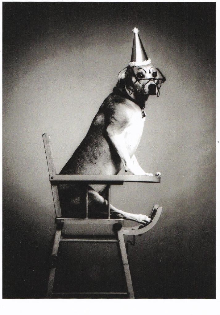 TRUDIE Ansichtkaart naar foto van ERWIN OLAF, Verzamelen, Ophalen of Verzenden, 1980 tot heden, Ongelopen, Sterren en Beroemdheden