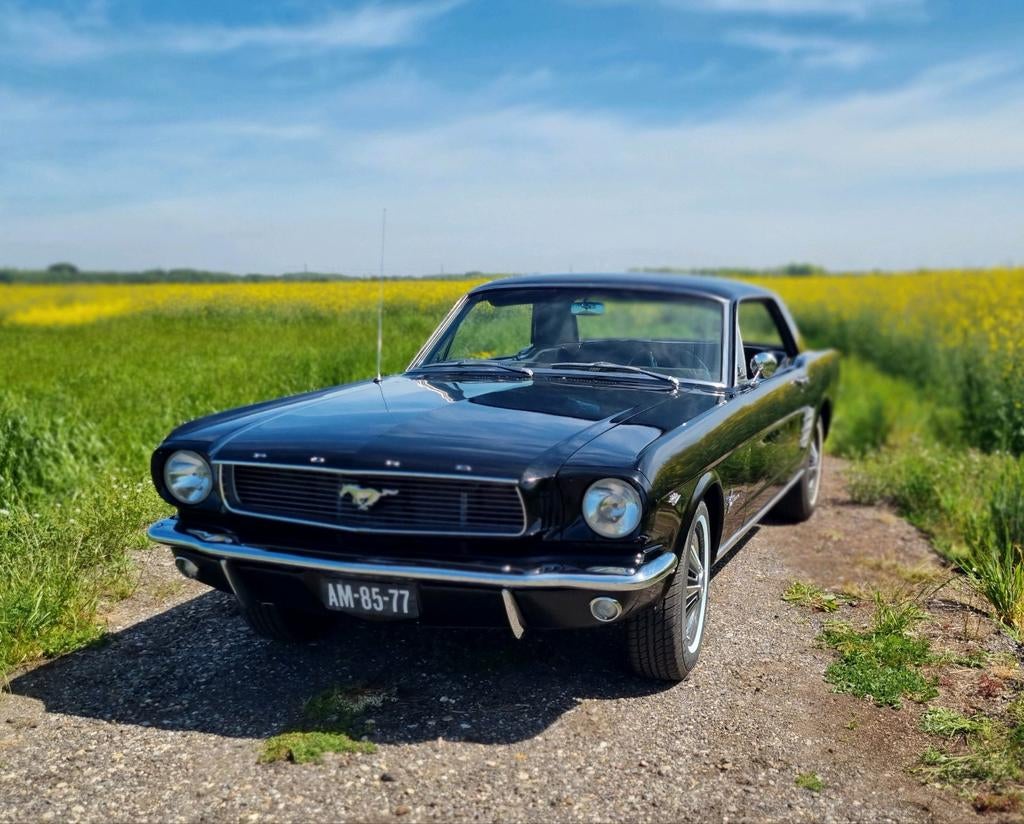 Ford Mustang Oldtimer uit 1966 te huur (met chauffeur), Diensten en Vakmensen, Verhuur | Auto en Motor, Met chauffeur, Trouwauto