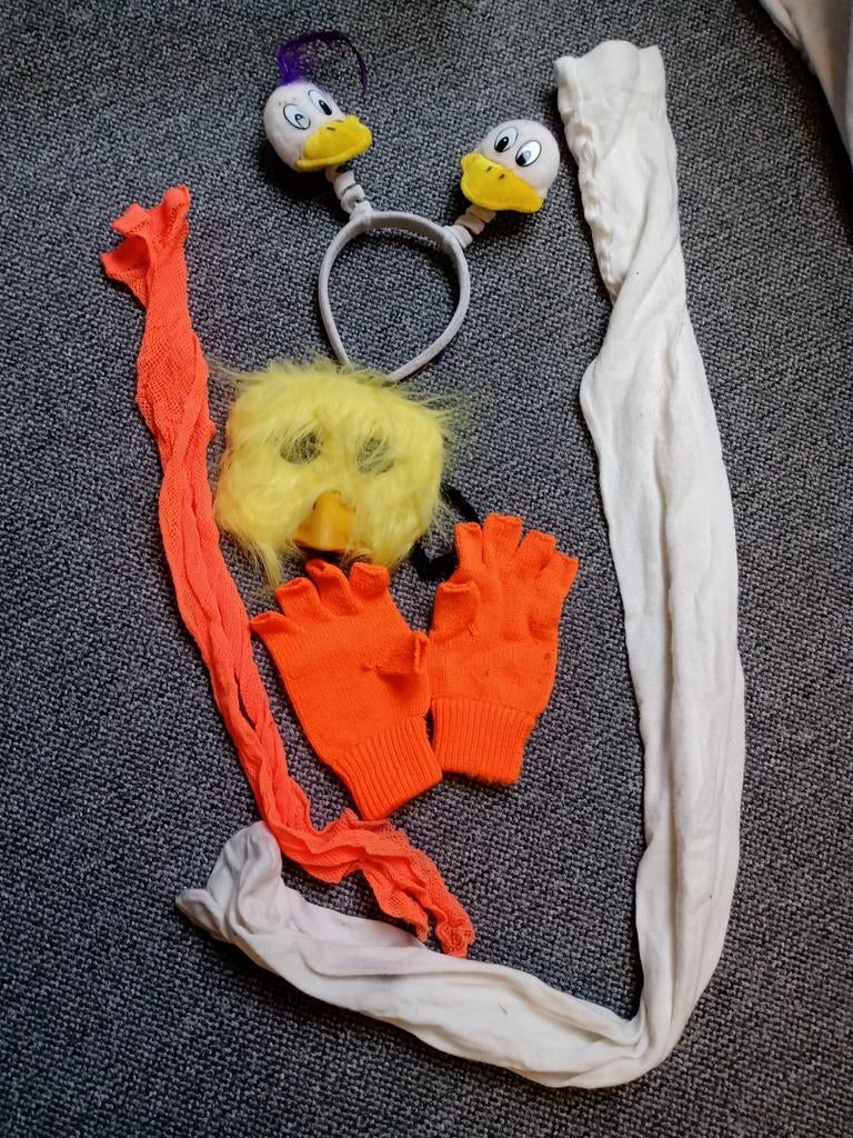 Carnavals accesoires eend, Ophalen of Verzenden, Jongen