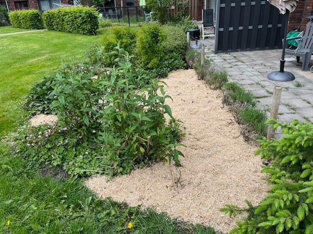 Bodembedekker |Miscanthus |mulch |duurzaam |natuurlijk, Ophalen, Ingenieursbureau Groninger, Dekamalaan 4, 8604 ZE Sneek, Info@ingenieursbureaugroninger.nl