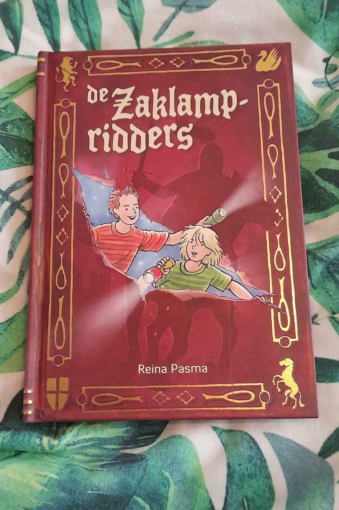 Reina Pasma: de Zaklampridders, hardcover Nederlands, Ophalen of Verzenden