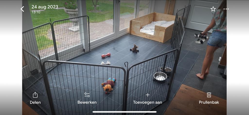 Grote Puppyren 20 delen te Huur, Ophalen of Verzenden, Gebruikt