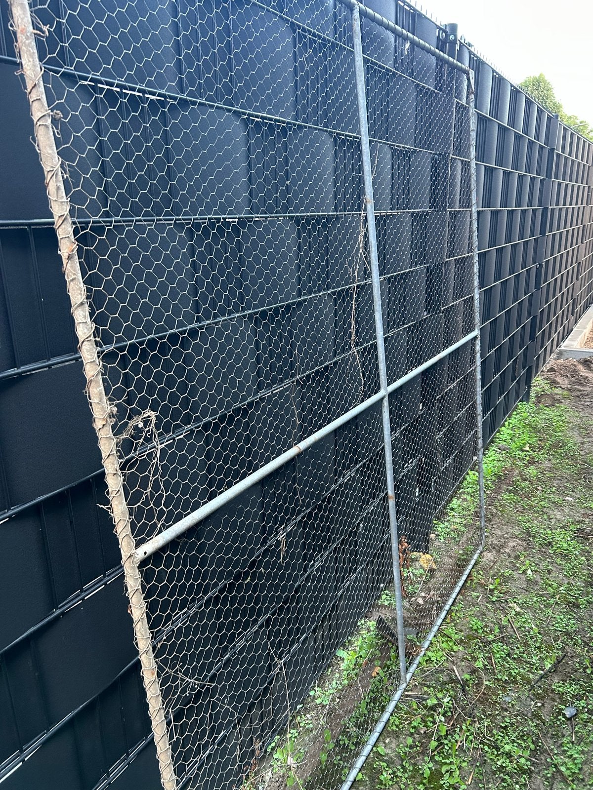 Gaashekwerk 2.00 x 2.00 meter, Tuin en Terras, Ophalen, Gebruikt, Minder dan 3 meter, 2 meter of meer