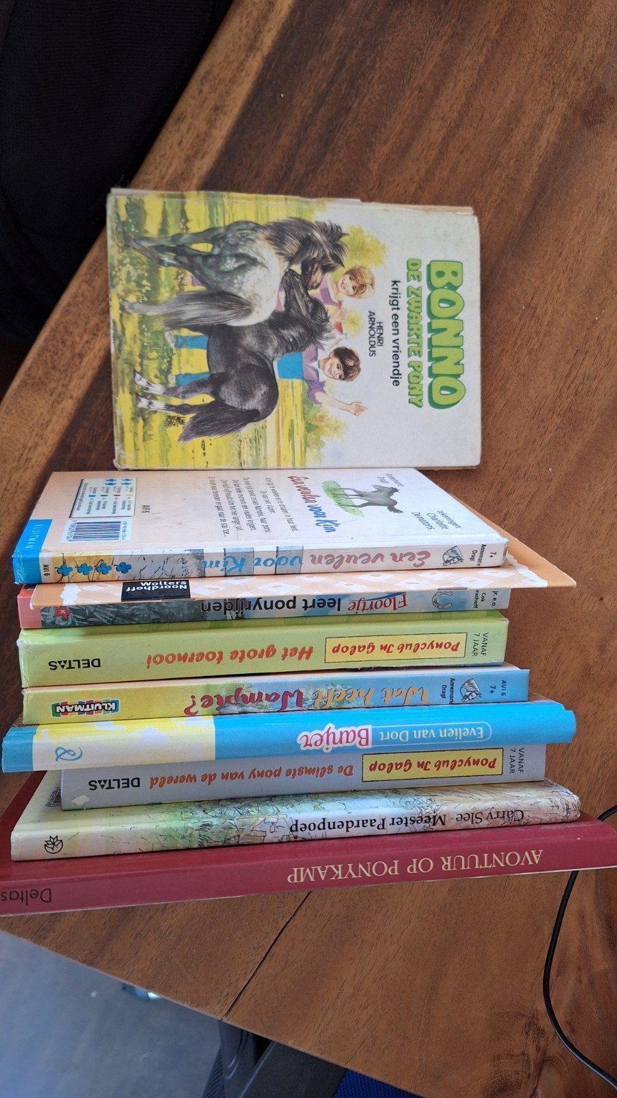 Ponyclub in Galop & andere paardenboeken (9 stuks), Ophalen of Verzenden, Gelezen, Diverse auteurs, Fictie algemeen