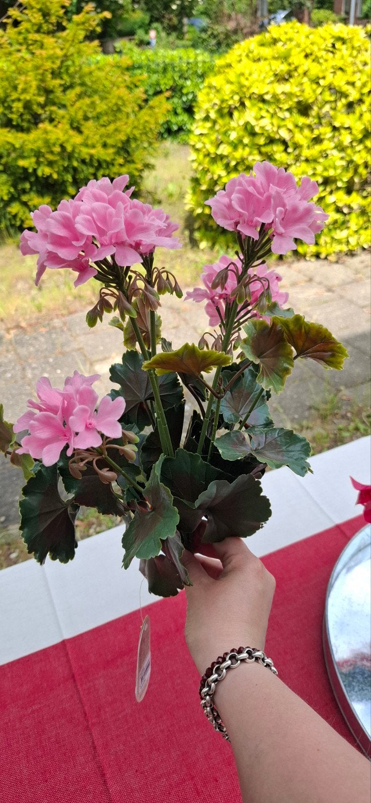Geranium kunst roze UV bestendig, Roze, Buiten, 38 cm, Nieuw