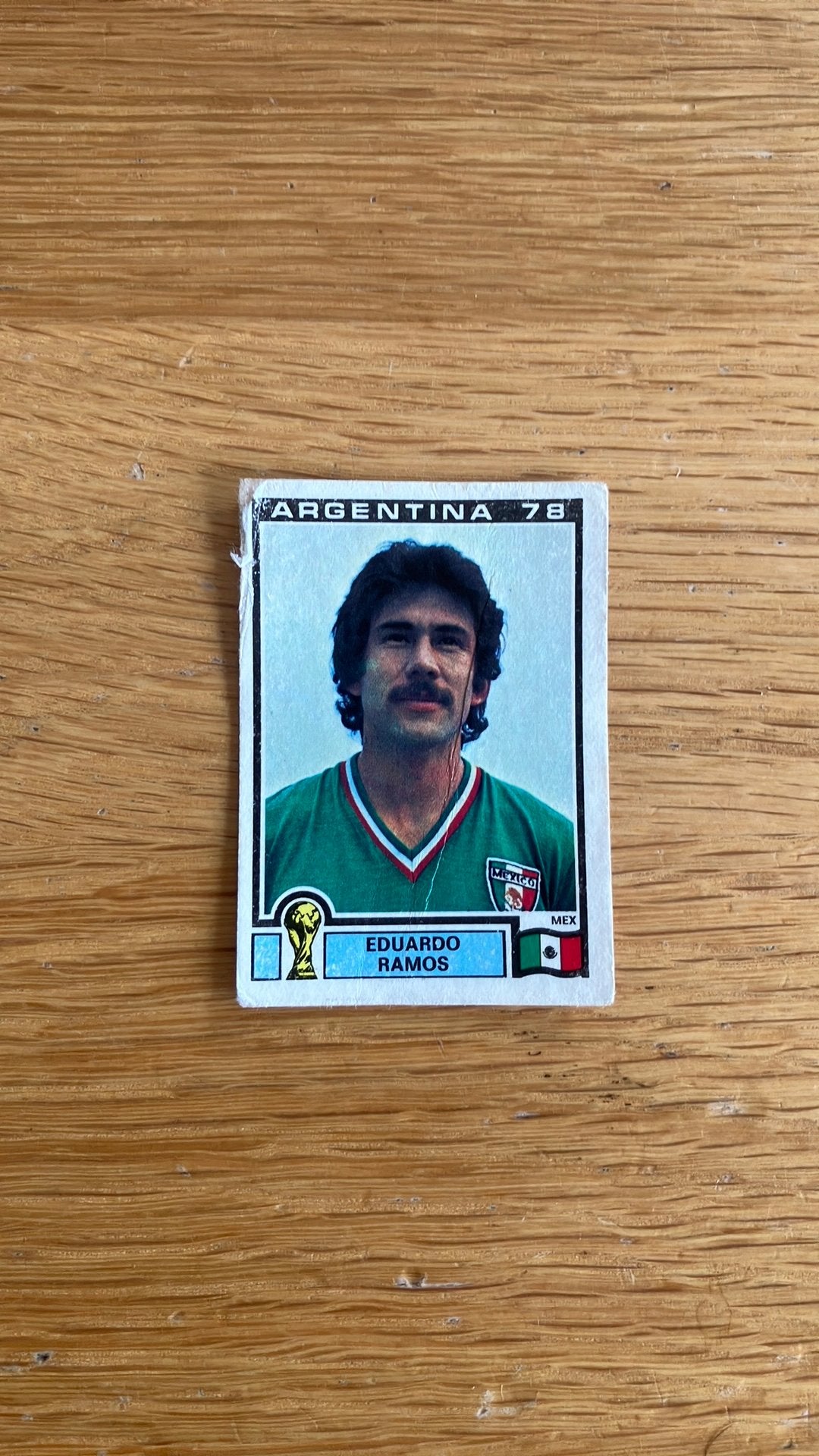 Panini Argentina ‘78, Ophalen of Verzenden, Gebruikt, Buitenlandse clubs, Poster, Plaatje of Sticker