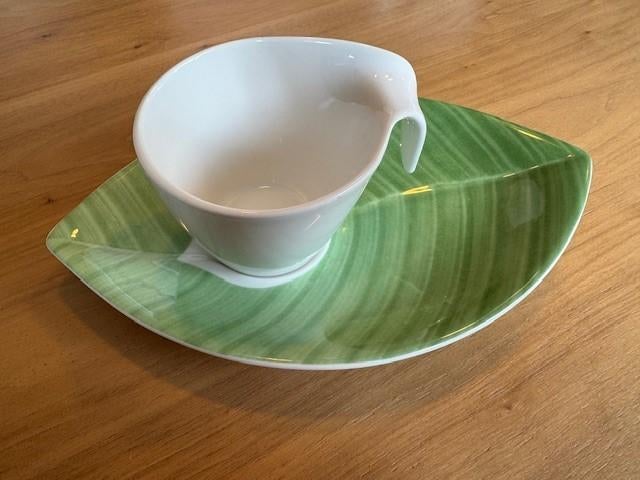 Villeroy & Boch kop en schotels (16 stuks), Ophalen, Nieuw, Overige stijlen, Kop(pen) en/of Schotel(s)