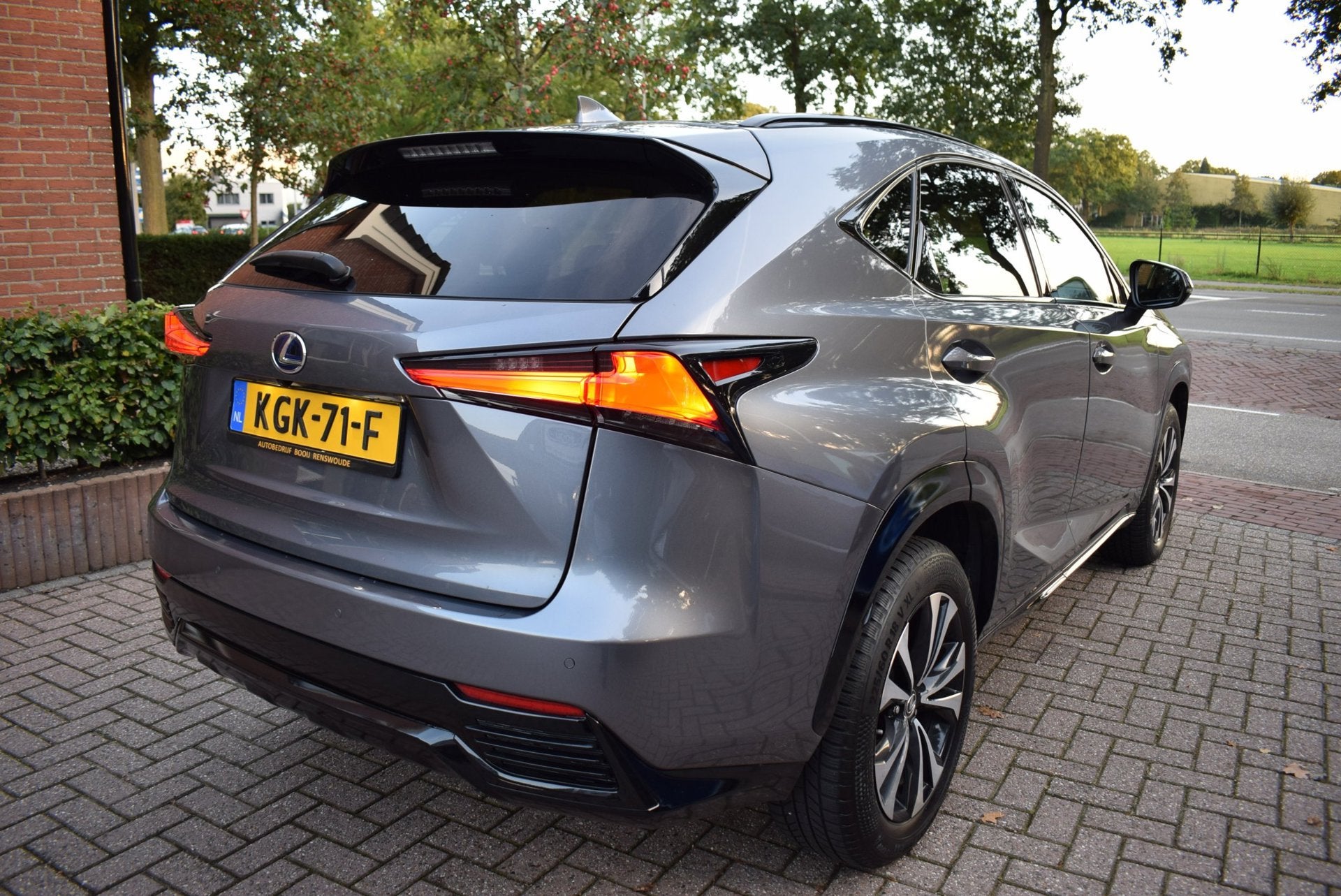 Lexus NX 300h AWD Executive Line AUTOM/LEDER/CAMERA/NAVI/CRU, Auto's, Gebruikt, Euro 6, Leder, Bedrijf
