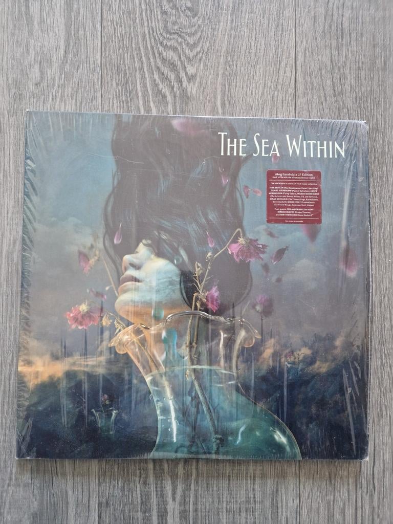 The Sea Within - 180g Gatefold 2 LP Edition + 2 CD's, Ophalen of Verzenden, Zo goed als nieuw, 12 inch, Progressive