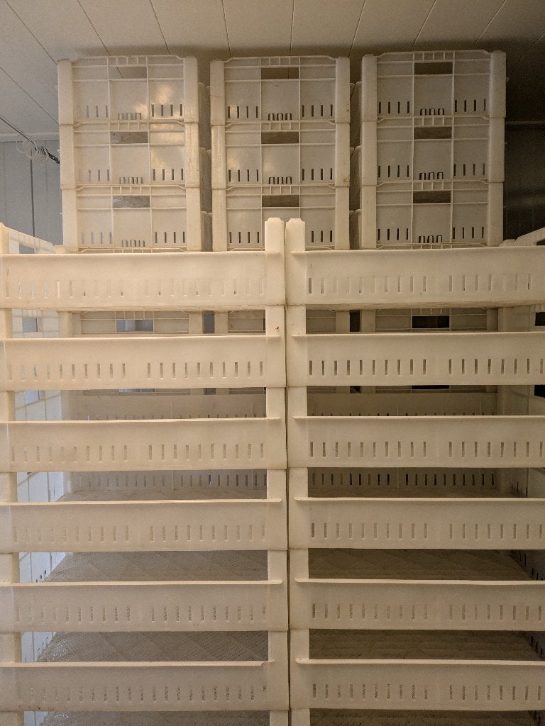 Witte kratten 40 x 60 cm - Ideaal voor opslag en transport, Ophalen, Gebruikt, 40 tot 60 cm, 50 tot 75 cm