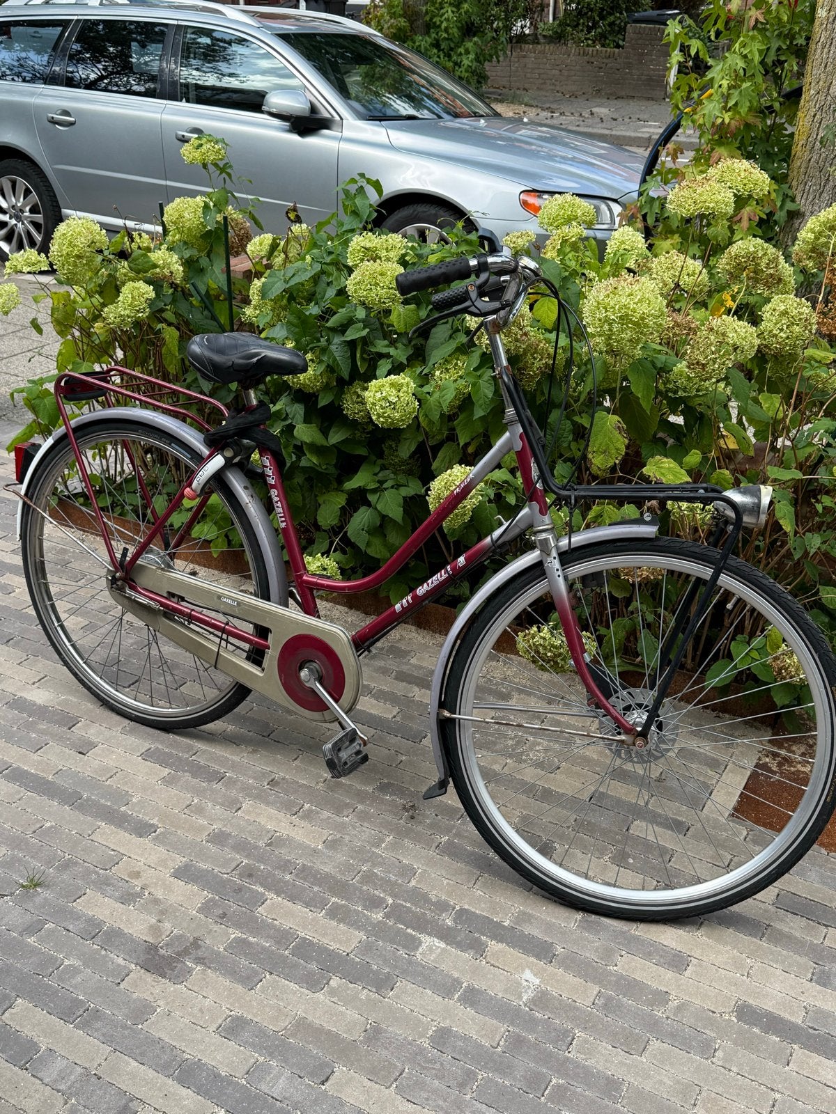 Gazelle damesfiets met versnellingen en voordrager, Ophalen, Terugtraprem, Gebruikt, Versnellingen