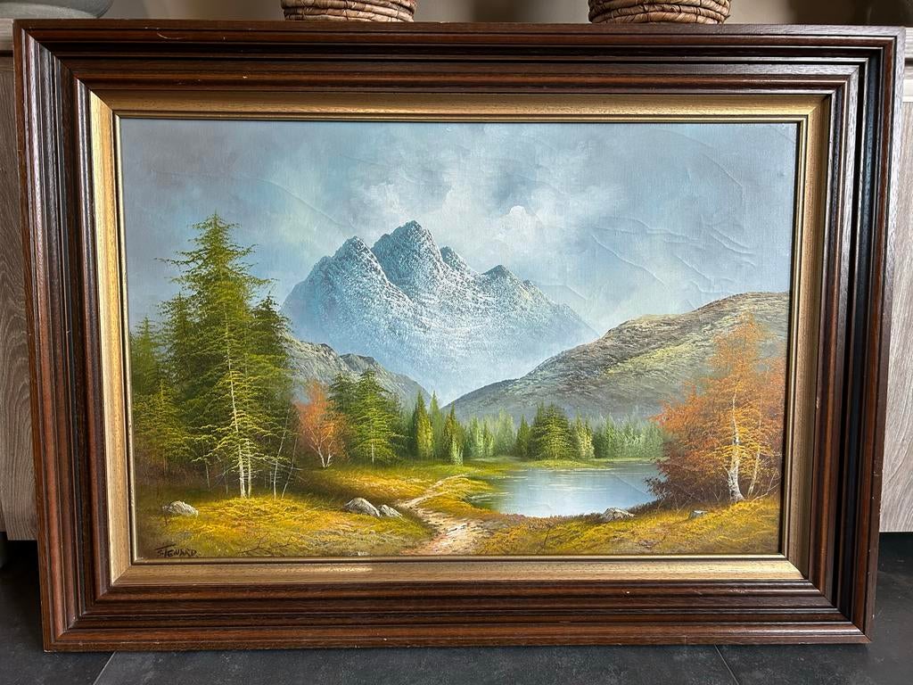 Schilderij landschap (110x80) bergen en meer, Steward, Antiek en Kunst, Kunst | Schilderijen | Klassiek, Ophalen