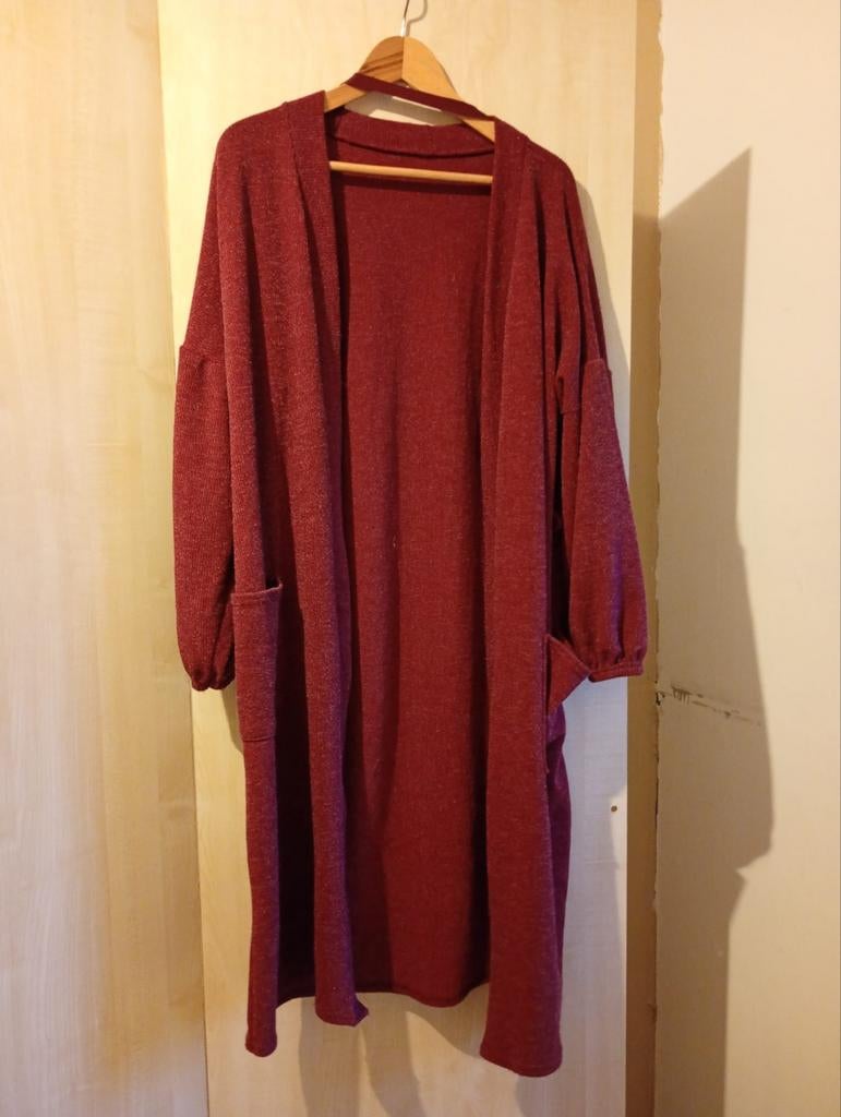 Lang vest, Ophalen of Verzenden, Nieuw, Trui of Vest