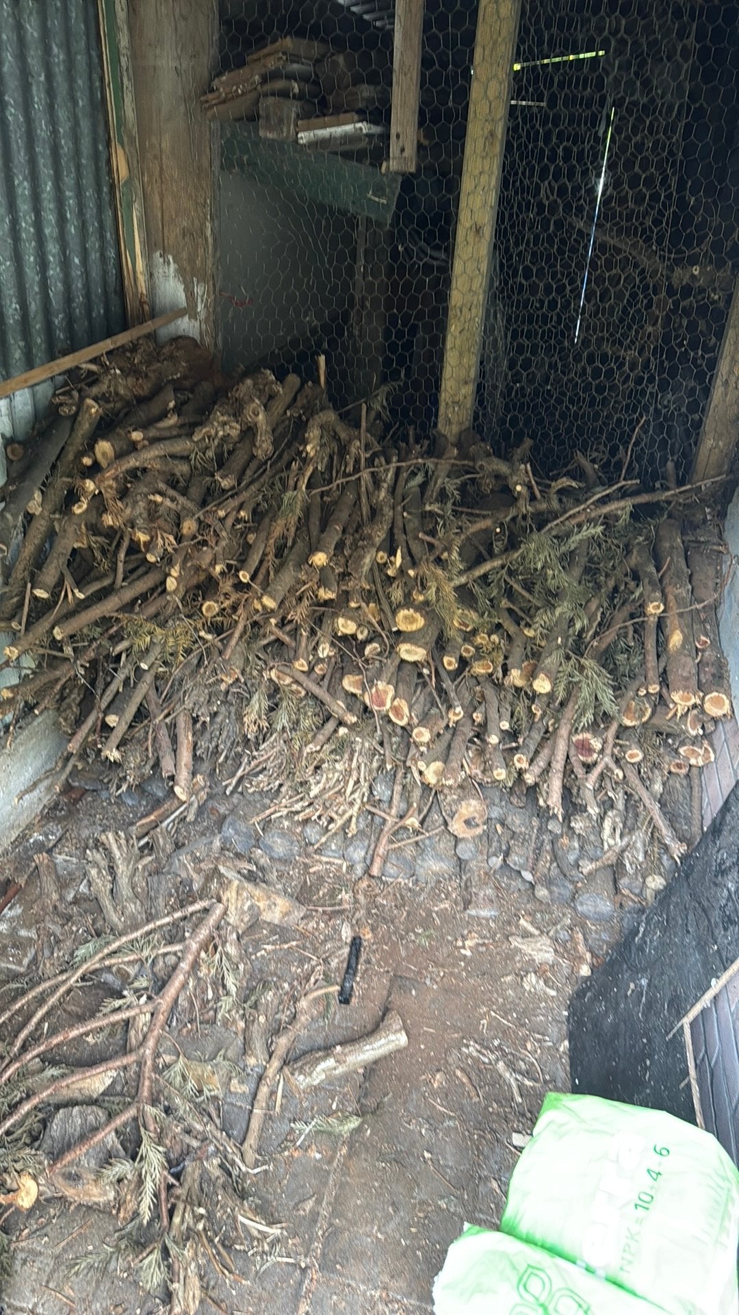 Brandhout  gratis afhalen, Dieren en Toebehoren, Meerdere dieren, Kip