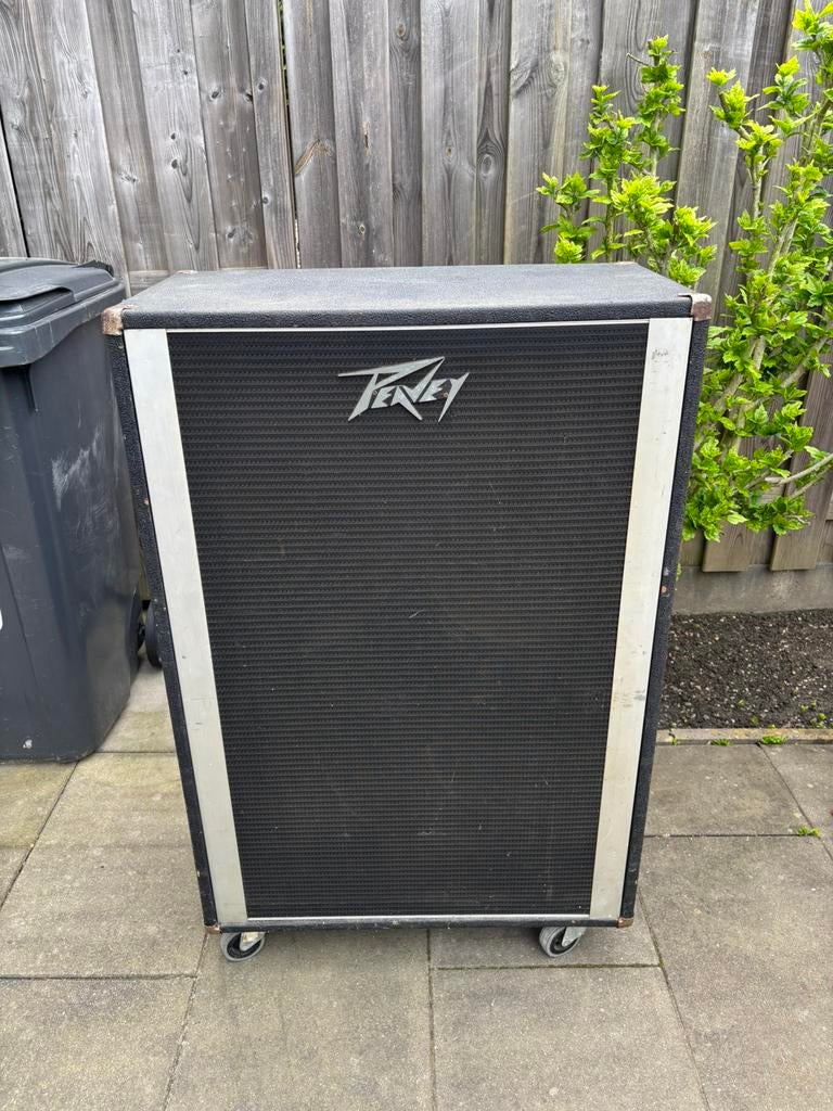 Peavey 4x12 basreflex kast LEEG, Ophalen, Zo goed als nieuw, 100 watt of meer