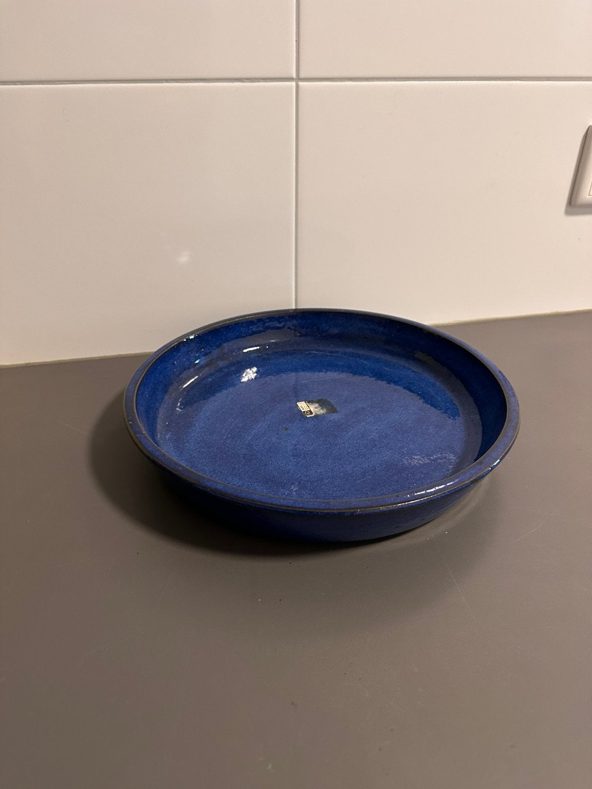 Intratuin plantenschaal Sefa blauw 28 cm x 4,5, Steen, Minder dan 30 cm, Minder dan 60 cm, Rond