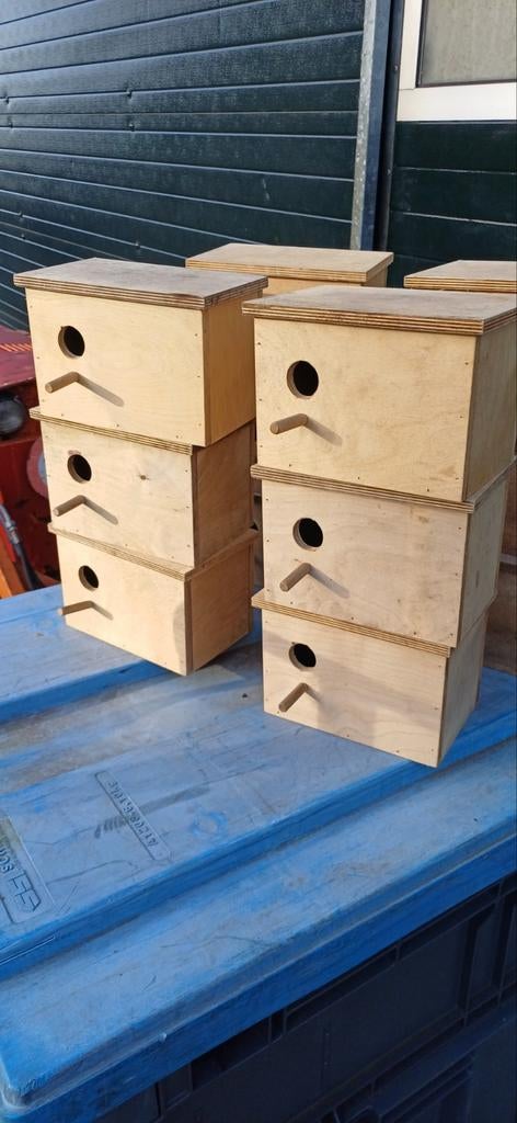 Broedblokken grasparkiet, Ophalen of Verzenden, Hout, Broedkooi of Kweekkooi