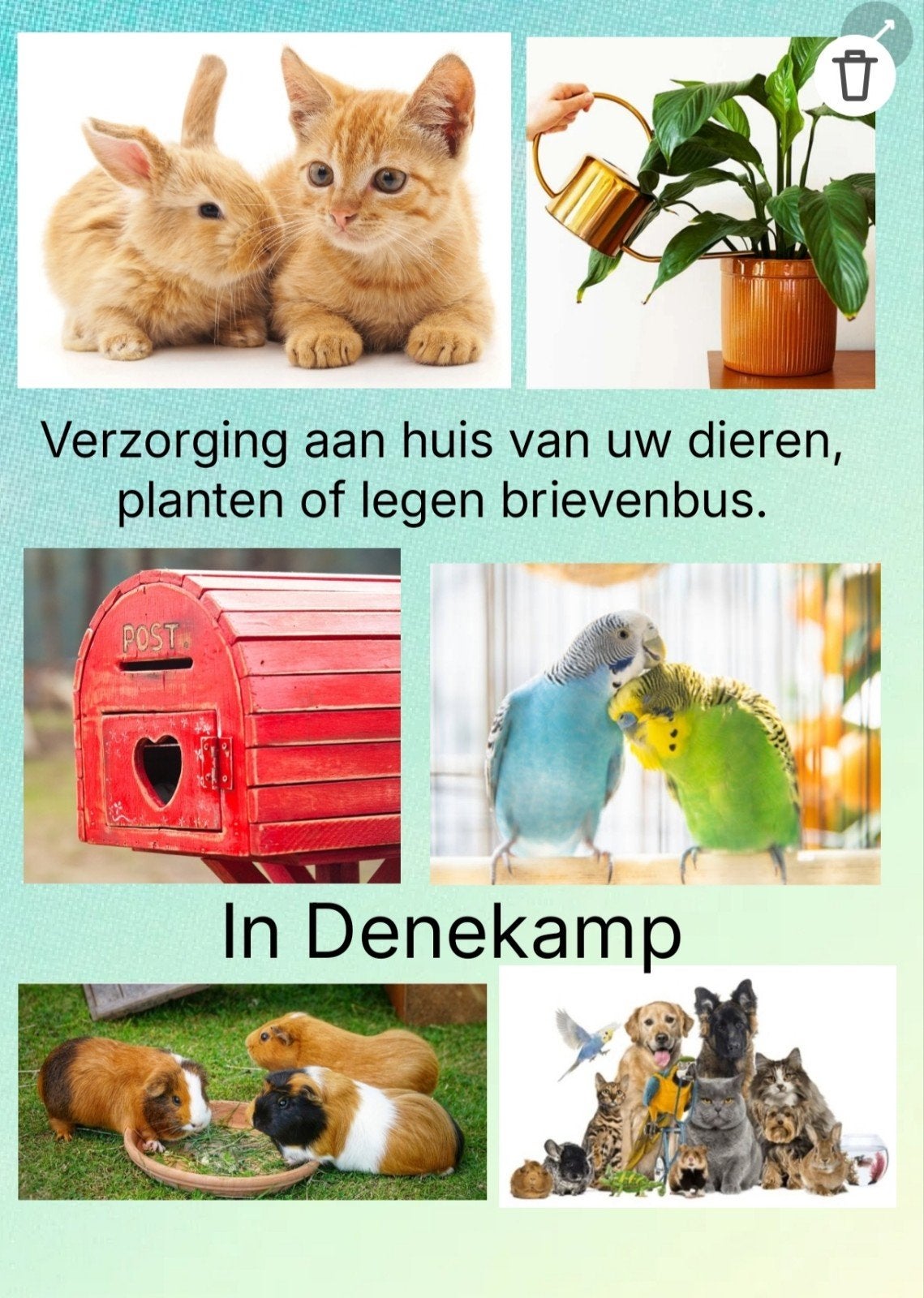 Dierenverzorging aan huis in Denekamp.