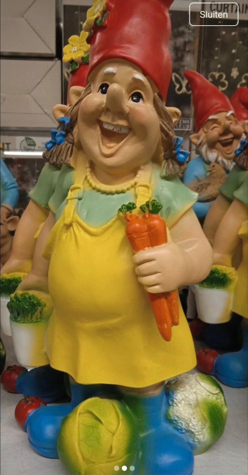 Vrolijke Tuinkabouter met Wortels gezocht?, Ophalen of Verzenden, Zo goed als nieuw, Kunststof, Tuinkabouter