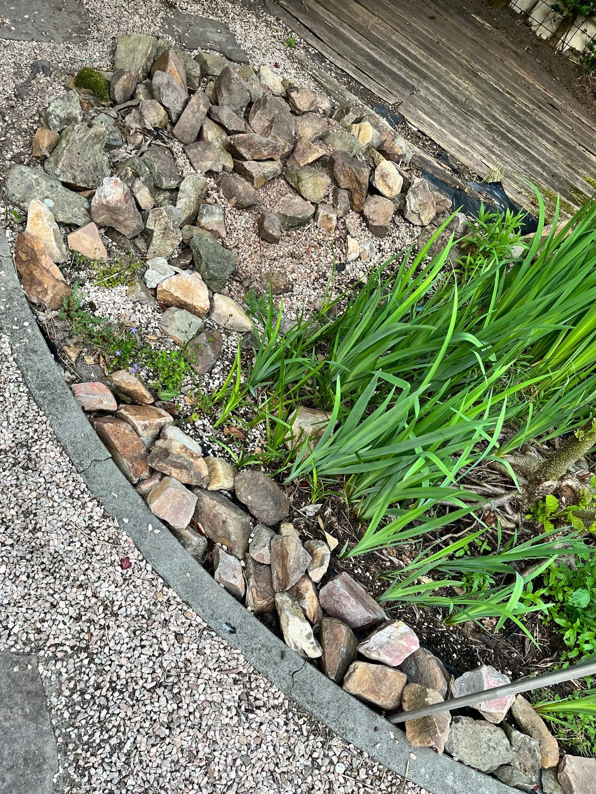 Sierkeien gratis op te halen, Tuin en Terras, Grind, Keien en Split, Ophalen, Overige materialen, Gebruikt, Kei