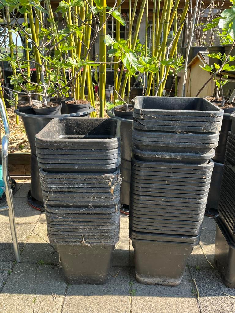 50 gebruikte kweekpotten 18 liter (31x31x31 cm), Ophalen, Kunststof, Minder dan 60 cm, Vierkant