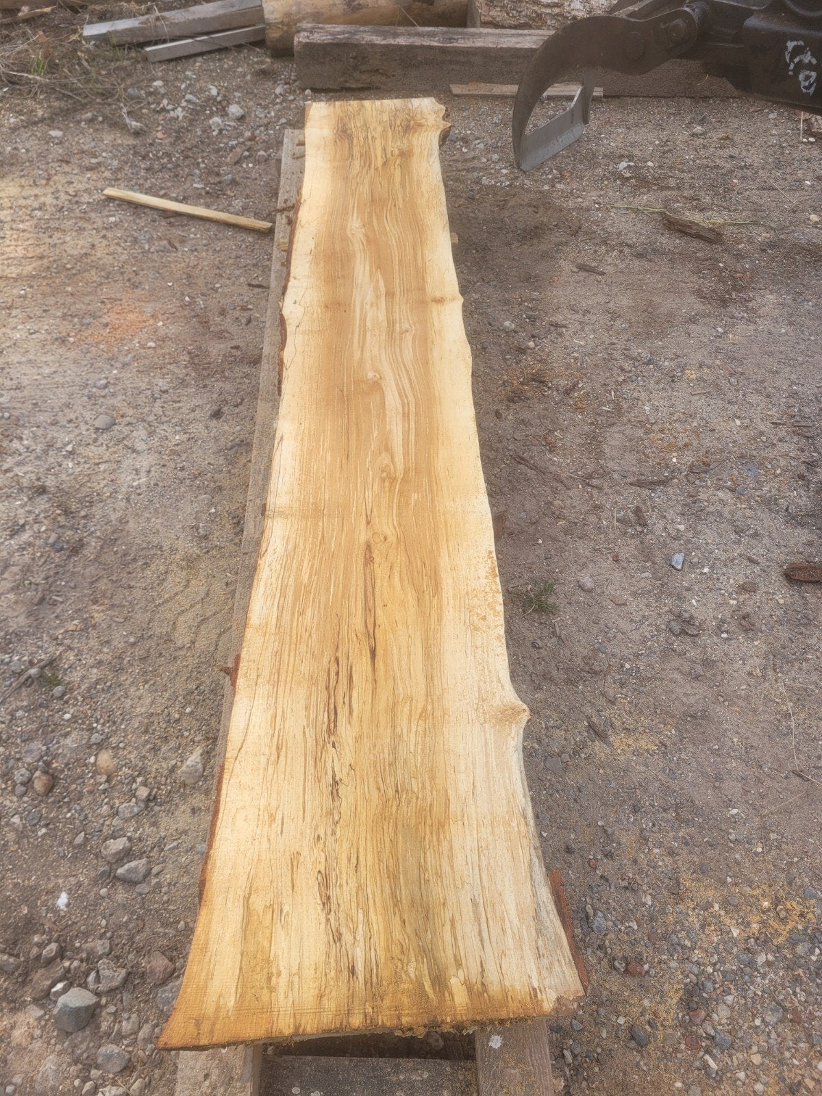 schaaldeel boomplank wandplank ESDOORN MET SLAAP, Ophalen of Verzenden, Nieuw, 180 tot 250 cm, Planken