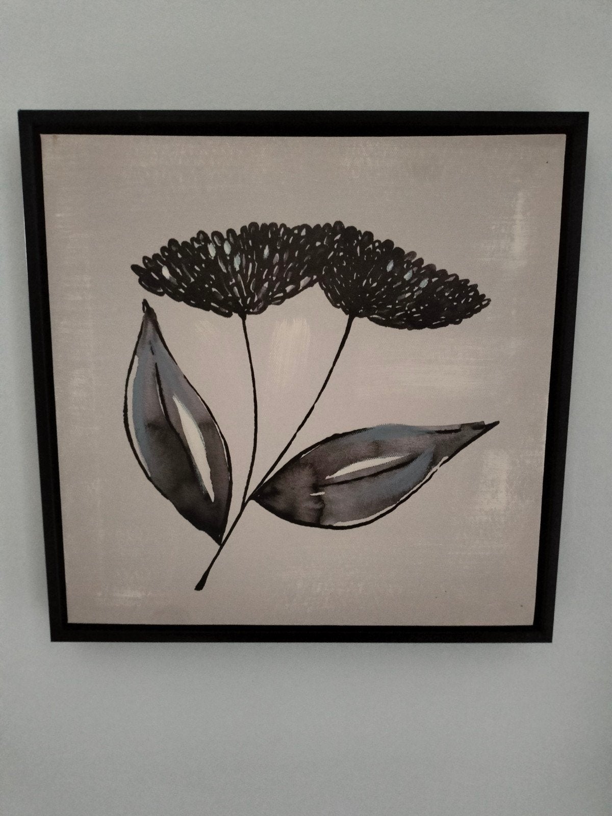 Wit zwart canvas schilderij van een plant in zwart frame, Ophalen, Minder dan 50 cm, 5 – 50, Print