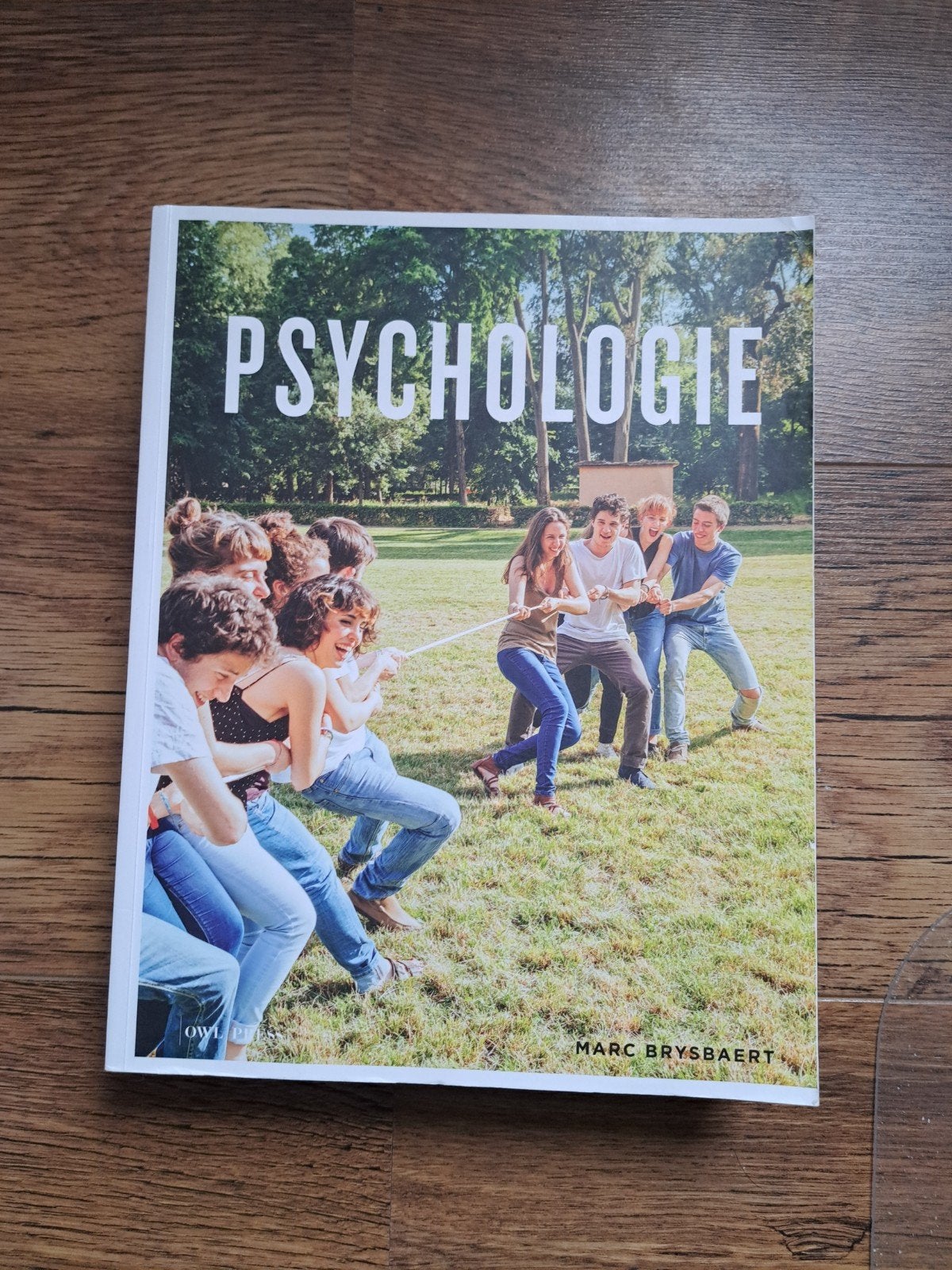 Psychologie - Marc Brysbaert, Ophalen of Verzenden, Zo goed als nieuw, Overige onderwerpen, Marc Brysbaert