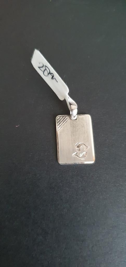 Zilveren vissen sterrenbeeld nieuw, Nieuw, Ophalen of Verzenden, Kruis of Symbool, Zilver