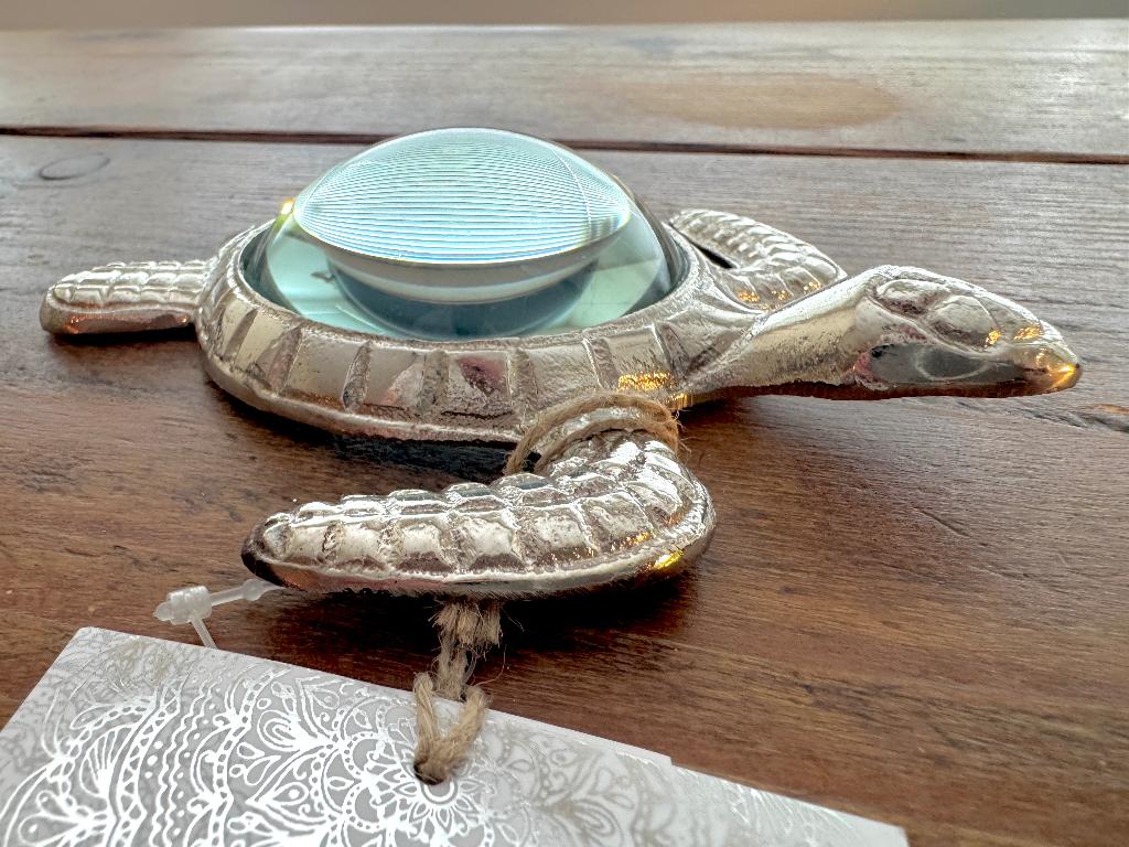 Made In India Decoratieve Schildpad (15 CM Lang), Metaal, Zilver, 3 cm, Ophalen of Verzenden