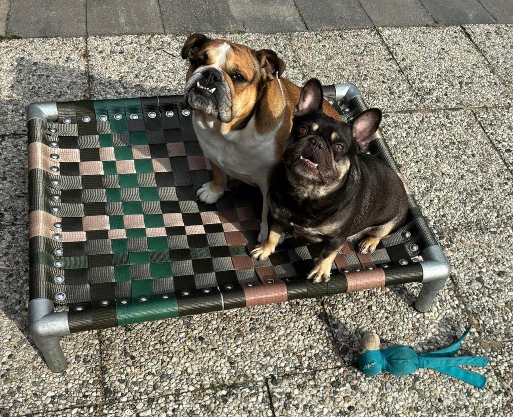 Hondenmand ✅ hondenstretchers hondenmand hondenbed bench, Dieren en Toebehoren, Ophalen of Verzenden, Nieuw, Overige