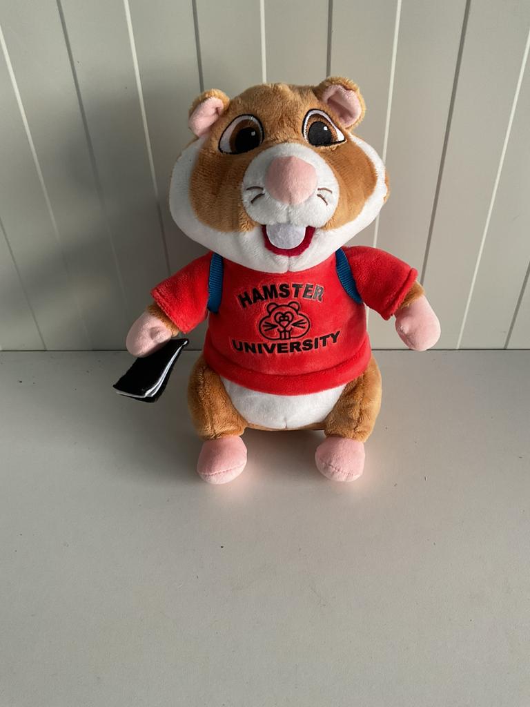 College Universiteit hamster van Albert Heijn student, Kinderen en Baby's, Ophalen, Zo goed als nieuw, Overige typen