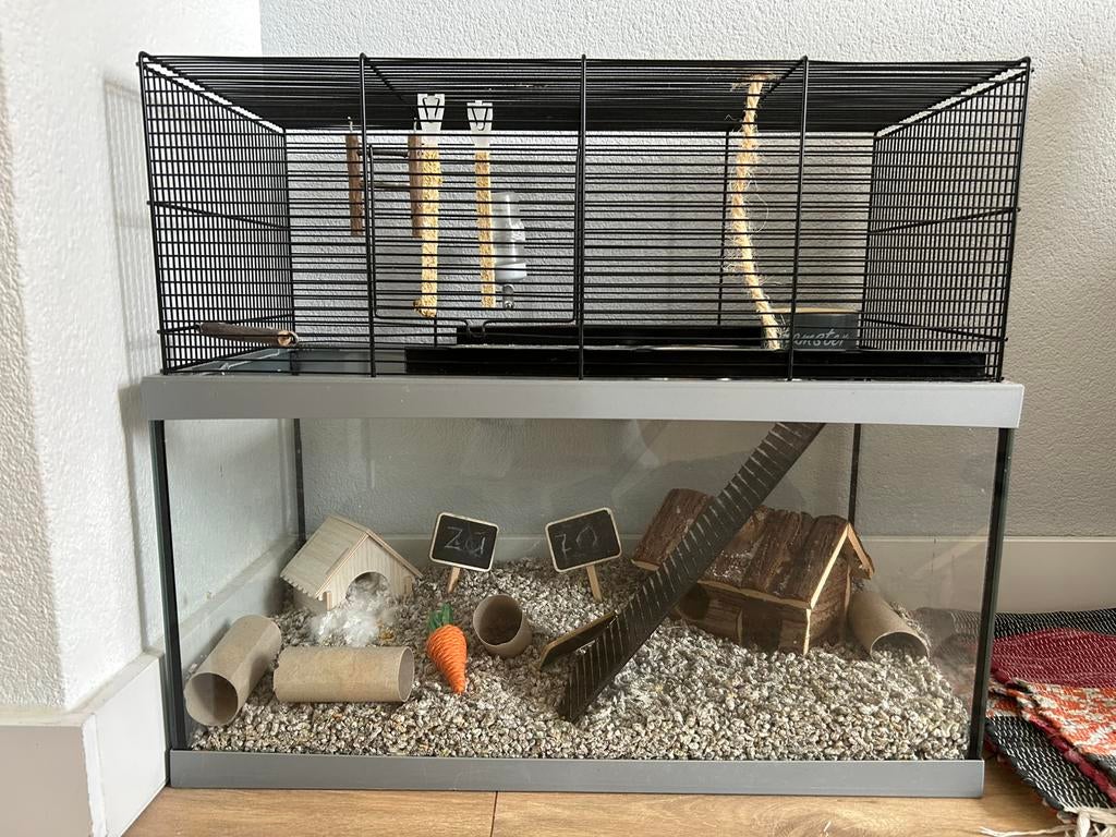 Mooie hamster kooi,, Minder dan 60 cm, Kooi, Minder dan 75 cm, Ophalen of Verzenden