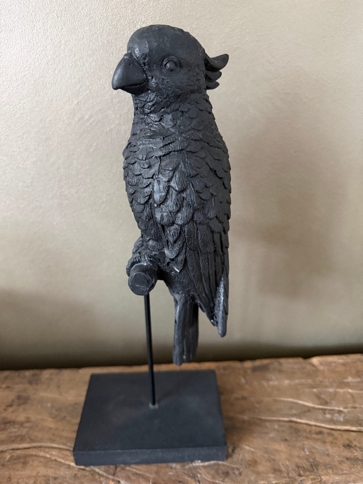 Zwarte kaketoe op voet - Nieuw, Ophalen of Verzenden, Nieuw, Zwart