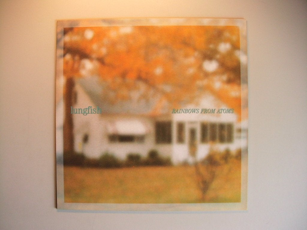 LP Lungfish - Rainbows from atoms, Verzenden, Gebruikt, 12 inch, Poprock