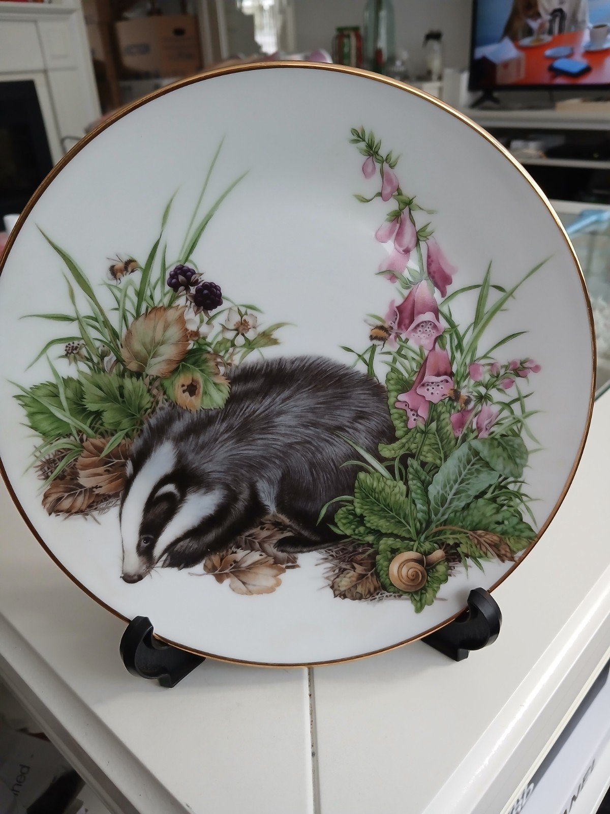 Royal Burlington Das, decoratief bord, Ophalen of Verzenden
