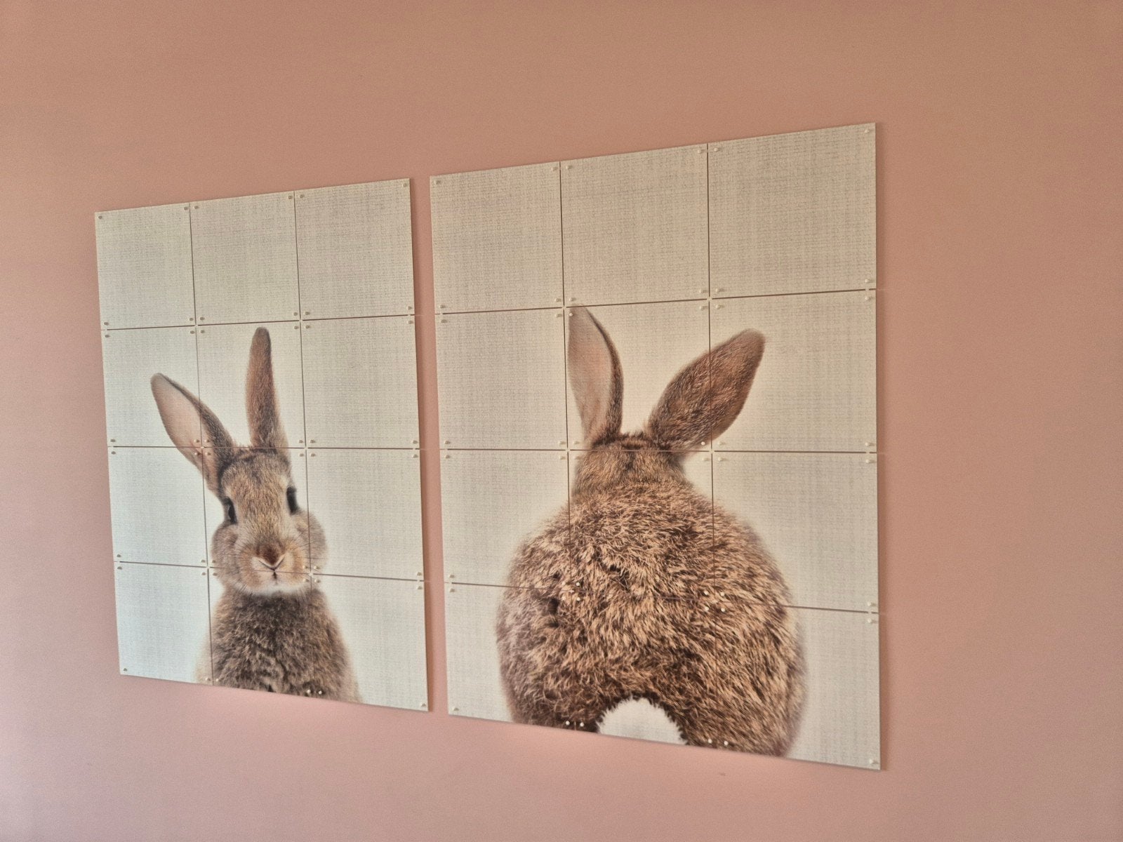 2 mooie IXXI posters - Konijnen, Ophalen, Vierkant, Zo goed als nieuw, A1 t/m A3