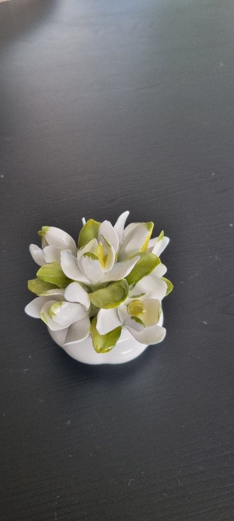 Porseleinen Bloem Royal Albert, Ophalen