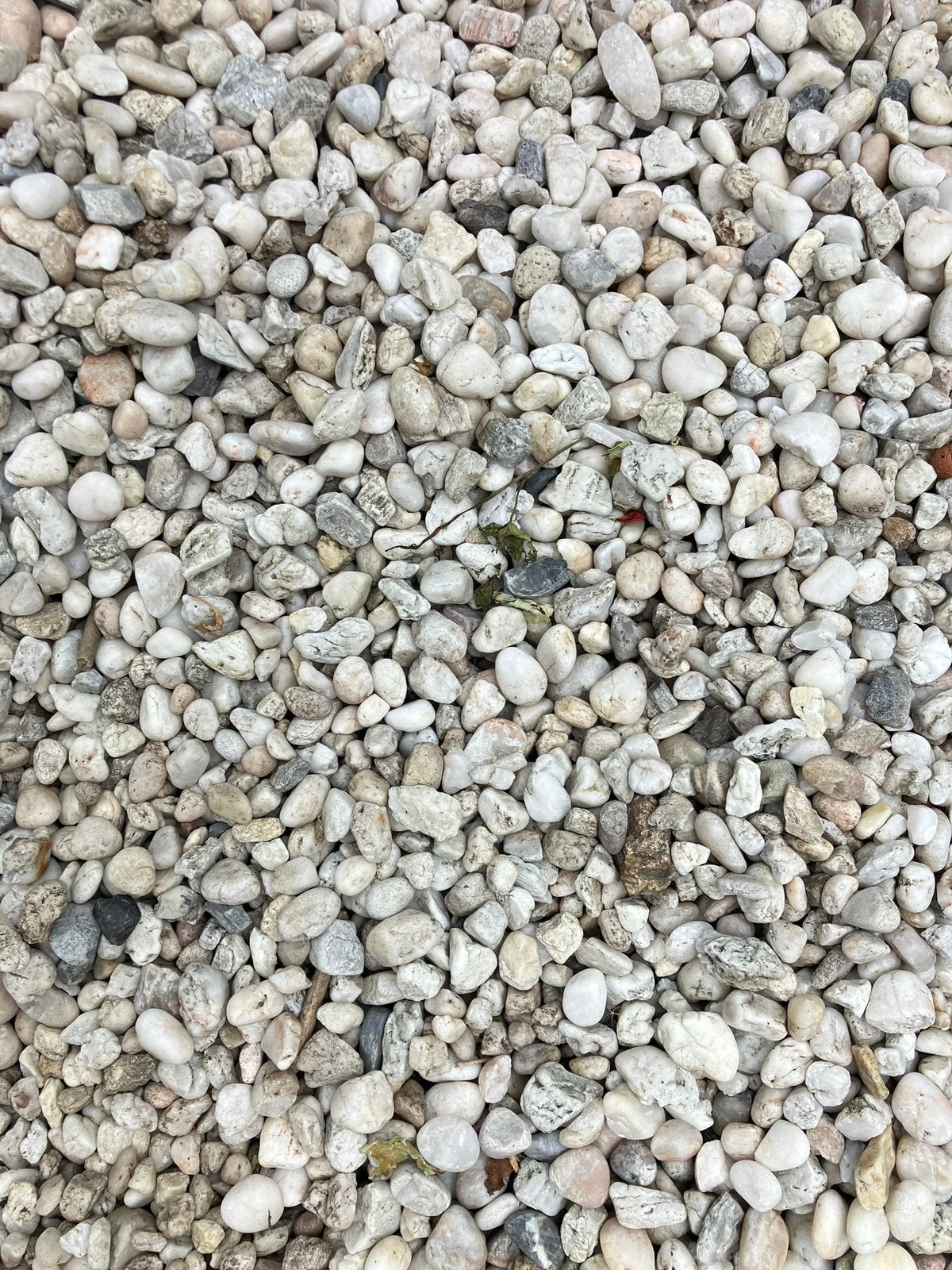 Kiezelsteentjes wit-grijs - Gratis af te halen, Tuin en Terras, Grind, Keien en Split, Ophalen, Gebruikt, Beige, Grind