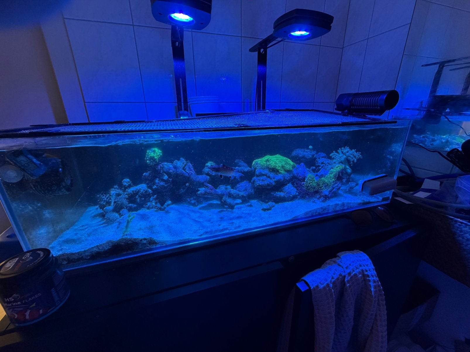 Zee aquarium, Dieren en Toebehoren, Ophalen, Zo goed als nieuw