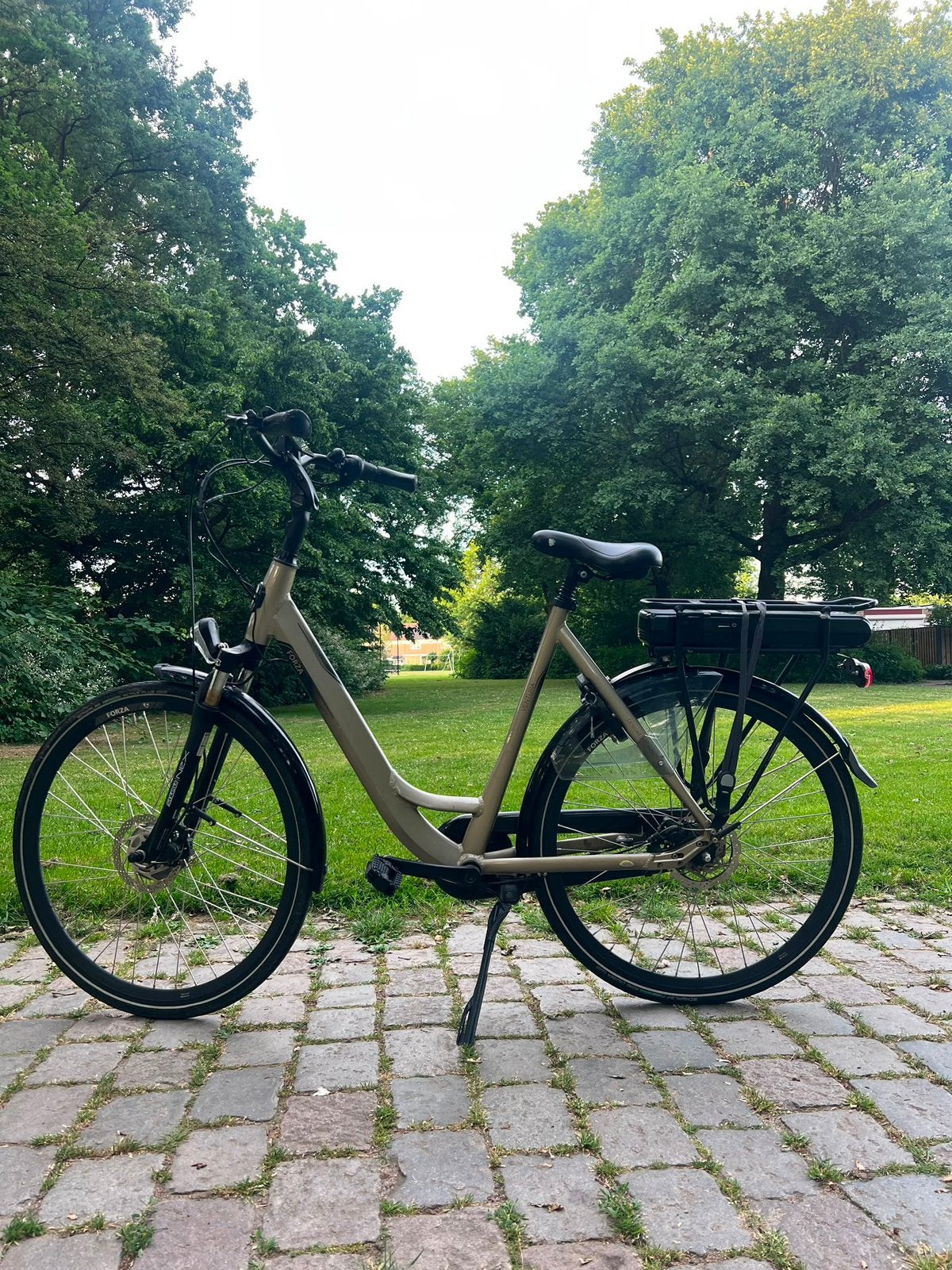 Elektrische fiets Forza Ventura 2022, Ophalen, Zo goed als nieuw, Overige merken