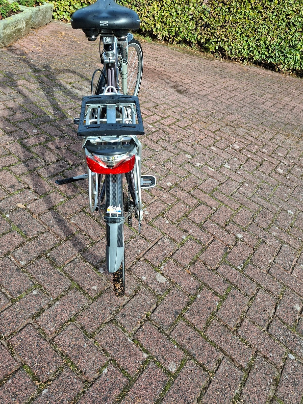 Damesfiets Gazelle, Ophalen, Gazelle
