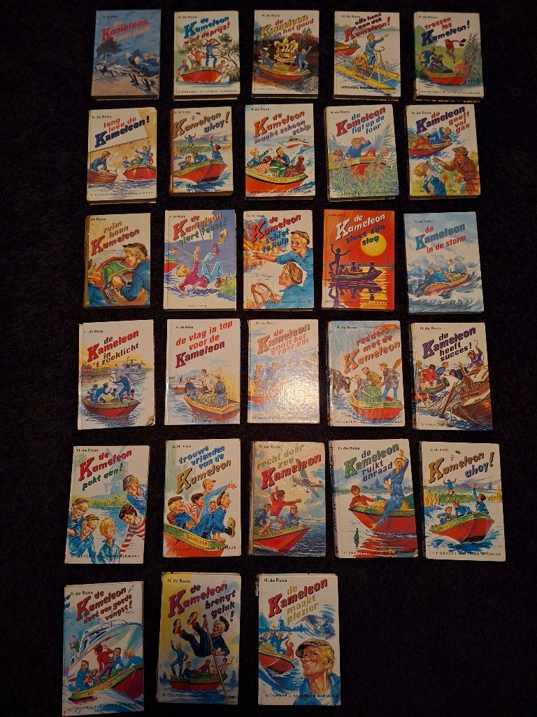 Kameleon boeken, Ophalen of Verzenden, Gelezen, P de Roos, Fictie